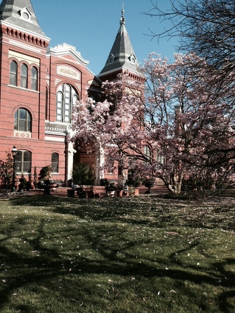 1. Welcome to Washington DC! Arrived Friday for Health Policy Conference, the cherry blossoms in bloom